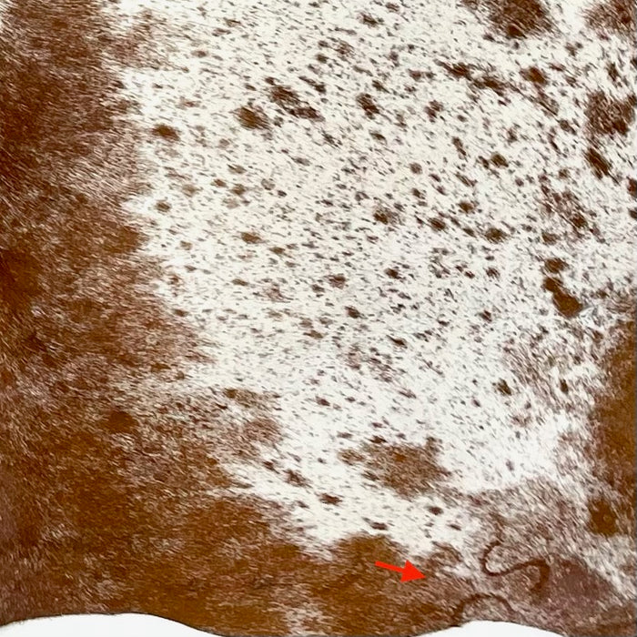 Closeup of this Brown and White Speckled Brazilian Cowhide, showing one brand mark on the right, hind shank (BRSP3468)