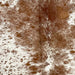Closeup of this Speckled Brazilian Cowhide, showing white with brown speckles and spots (BRSP3468)