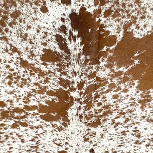 Closeup of this Speckled Brazilian Cowhide, showing white with brown spots and speckles (BRSP3469)