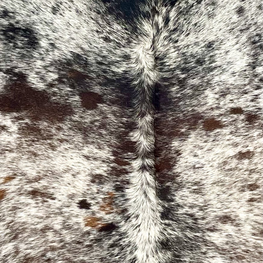 Closeup of this Tricolor Speckled Brazilian Cowhide, showing white with black and dark brown speckles and spots (BRSP3471)