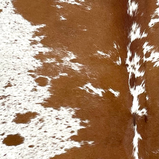 Closeup of this Speckled Brazilian Cowhide, showing white with brown speckles and spots (BRSP3472)