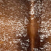 Closeup of this Speckled Brazilian Cowhide, showing brown with white speckles (BRSP3473)