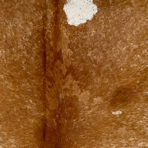 Closeup of this Speckled Brazilian Cowhide, showing brown with cloudy, white and brown speckles and spots, and one white spots on the right side of the shoulder (BRSP3474)