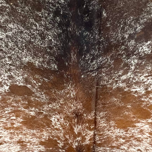 Closeup of this Speckled Brazilian Cowhide, showing white with reddish brown and dark brown speckles and spots  (BRSP3476)