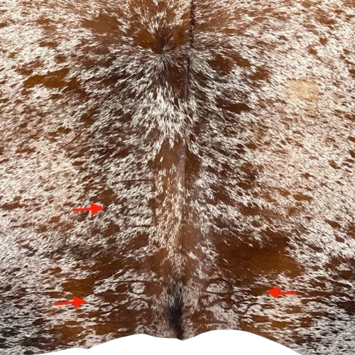 Closeup of this Two Tone Brown and White Speckled Brazilian Cowhide, showing three brand marks on the butt  (BRSP3476)