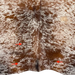 Closeup of this Two Tone Brown and White Speckled Brazilian Cowhide, showing three brand marks on the butt  (BRSP3476)