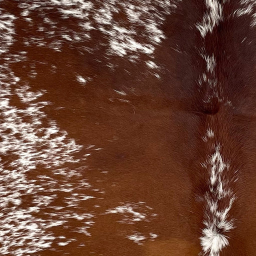Closeup of this Speckled Brazilian Cowhide, showing white with dark reddish brown speckles and spots (BRSP3480)