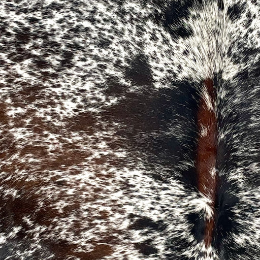 Closeup of this Tricolor Speckled Brazilian Cowhide, showing white with brown and black speckles and spots (BRSP3481)