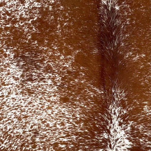 Closeup of this Speckled Brazilian Cowhide, showing white with reddish brown speckles and spots (BRSP3482)