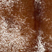 Closeup of this Speckled Brazilian Cowhide, showing white with reddish brown speckles and spots (BRSP3482)