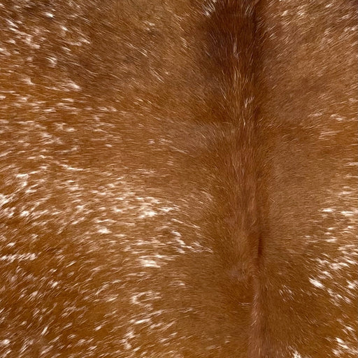Closeup of this Speckled Brazilian Cowhide, showing brown with white speckles (BRSP3484)