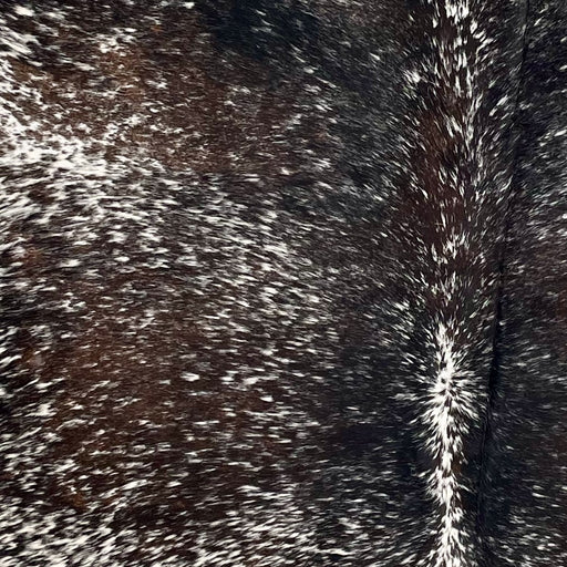 Closeup of this Dark Tricolor Speckled Brazilian Cowhide, showing white with black and dark brown speckles and spots  (BRSP3486)