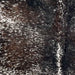 Closeup of this Dark Tricolor Speckled Brazilian Cowhide, showing white with black and dark brown speckles and spots  (BRSP3486)