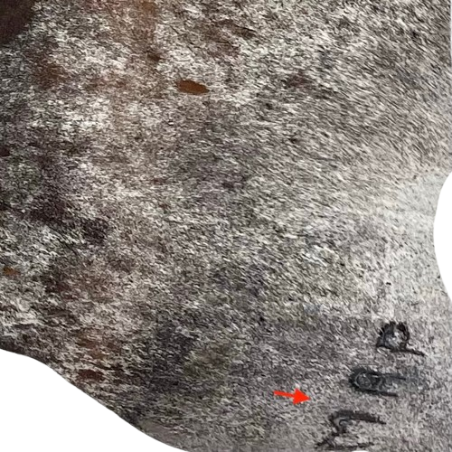 Closeup of this Tricolor Speckled Brazilian Cowhide, showing  one brand mark on the right hind shank (BRSP3487)