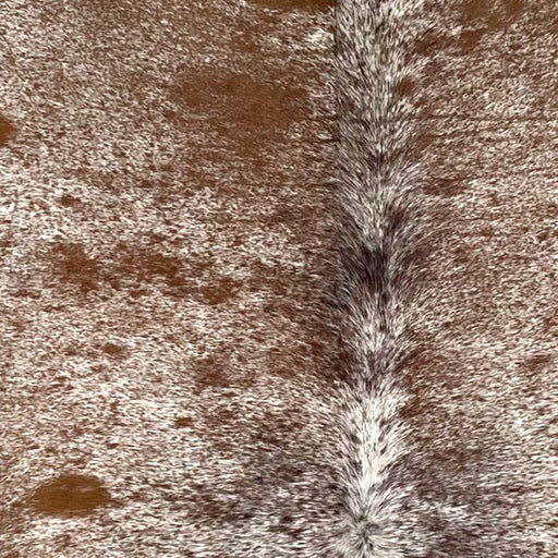 Closeup of this Speckled Brazilian Cowhide, showing white with brown speckles and spots (BRSP3489)