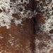 Closeup of thisSpeckled Brazilian Cowhide, showing white with brown speckles and spots (BRSP3490)