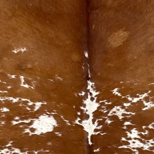 Closeup of this Speckled Brazilian Cowhide, showing brown with white speckles and spots (BRSP3491)