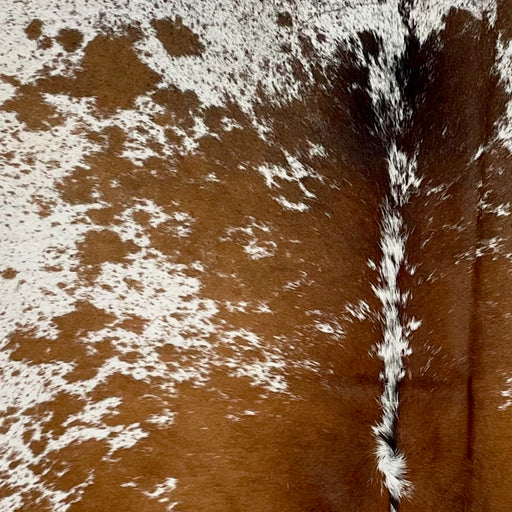 Closeup of this Speckled Brazilian Cowhide, showing white with brown speckles and spots (BRSP3492)