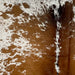 Closeup of this Speckled Brazilian Cowhide, showing white with brown speckles and spots (BRSP3492)