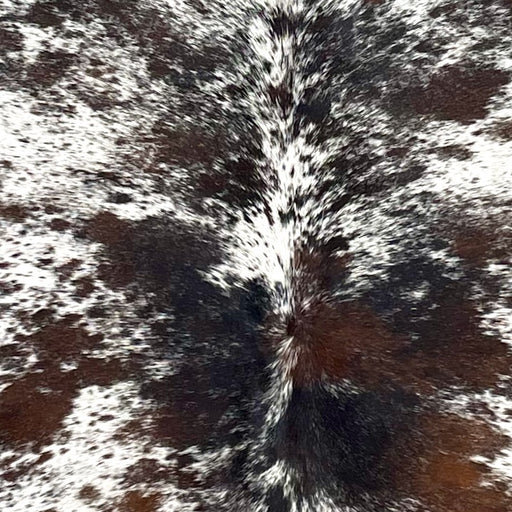 Closeup of this Tricolor Speckled Brazilian Cowhide, showing white with black and dark brown speckles and spots (BRSP3493)