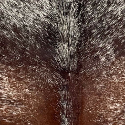 Closeup of this Speckled Brazilian Cowhide, showing white with reddish brown speckles and spots, and blackish brown speckles on the shoulder  (BRSP3494)