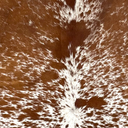 Closeup of his Speckled Brazilian Cowhide, showing white with reddish brown speckles and spots (BRSP3495)