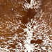 Closeup of his Speckled Brazilian Cowhide, showing white with reddish brown speckles and spots (BRSP3495)