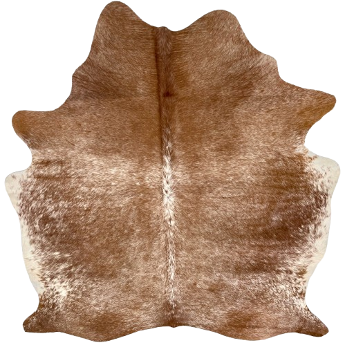 Brown and White Speckled Brazilian Cowhide: brown with white speckles, and white with brown speckles on the belly - 6'4" x 5'3" (BRSP3496)
