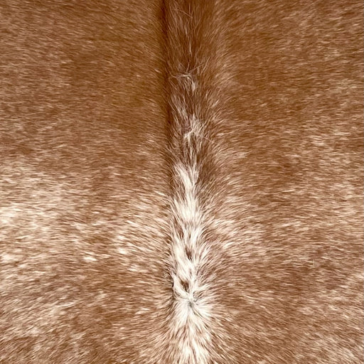 Closeup of this Speckled Brazilian Cowhide, showing brown with white speckles (BRSP3496)