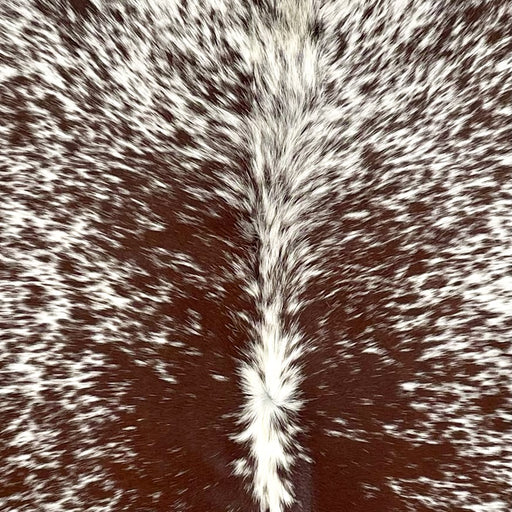 CLoseup of this Speckled Brazilian Cowhide, showing white with brown speckles and spots (BRSP3497)