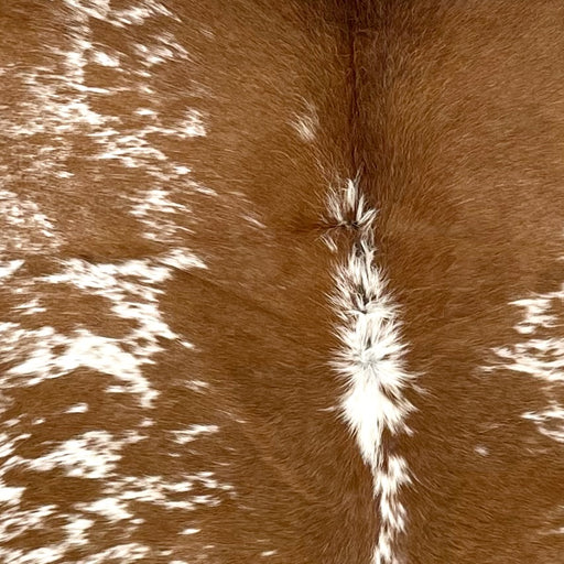 Closeup of this Speckled Brazilian Cowhide, showing white with brown speckles and spots (BRSP3498)