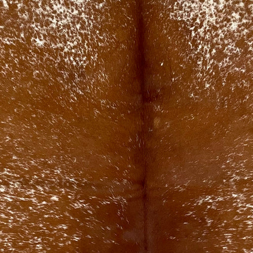 Closeup of this Speckled Brazilian Cowhide, showing reddish brown with white speckles (BRSP3499)