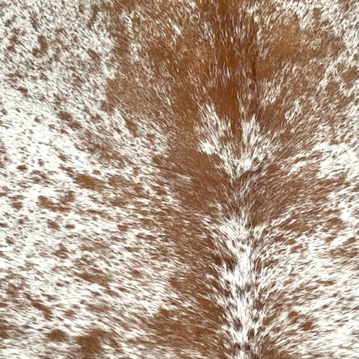 Closeup of this Speckled Brazilian Cowhide, showing white with brown speckles and spots (BRSP3500)