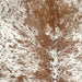 Closeup of this Speckled Brazilian Cowhide, showing white with brown speckles and spots (BRSP3500)