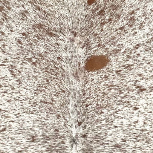 Closeup of this Speckled Brazilian Cowhide, showing white with brown speckles and spots (BRSP3501)
