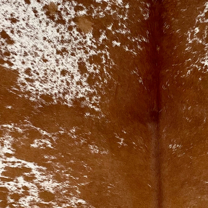 Closeup of this Speckled Brazilian Cowhide, showing white with reddish brown speckles and spots, and mostly solid reddish brown down the middle (BRSP3502)