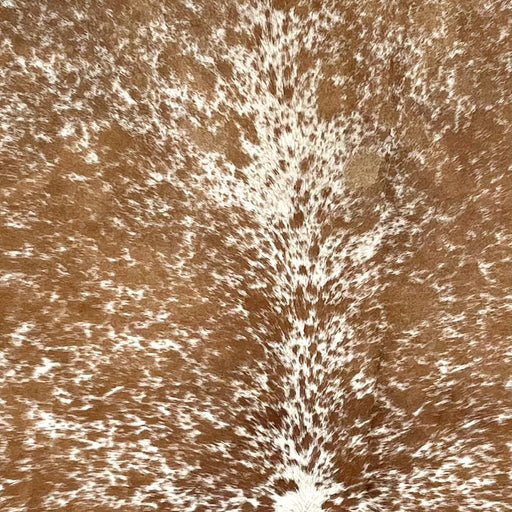 Closeup of this Speckled Brazilian Cowhide, showing off-white with brown speckles and spots (BRSP3506)