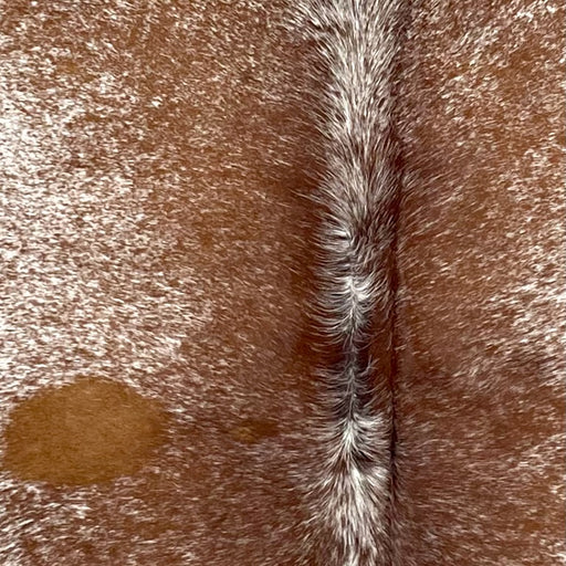 Closeup of this Speckled Brazilian Cowhide, showing white with reddish brown speckles and spots (BRSP3508)
