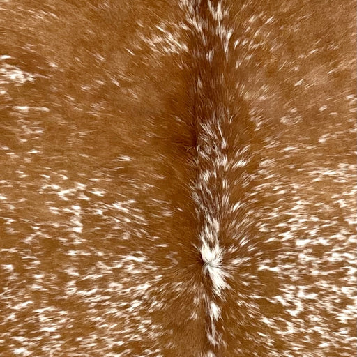 Closeup of this Speckled Brazilian Cowhide, showing brown with white speckles and spots (BRSP3509)