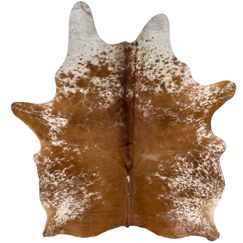 Brown and White Speckled Brazilian Cowhide: white with brown speckles and spots, with mostly solid brown down the middle, and one brand mark on the right side of the butt - 7' x 5'3" (BRSP3510)