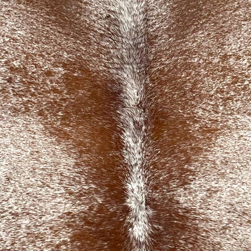 Closeup of this Speckled Brazilian Cowhide, showing white with brown speckles and spots (BRSP3511)