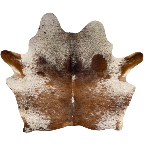 Reddish Brown and White Speckled Brazilian Cowhide: white with reddish brown speckles and spots, and mostly solid brown down the middle of the back - 5'9" x` 5'5" (BRSP3512)