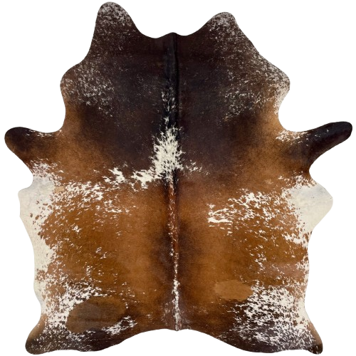 Two Tone Brown and White Speckled Brazilian Cowhide: has a mix of reddish brown and dark brown with white speckles and spots - 6' x 4'9" (BRSP3513)