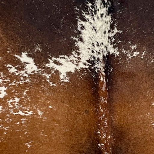 Closeup of this Speckled Brazilian Cowhide, showing a mix of reddish brown and dark brown with white speckles and spots (BRSP3513)
