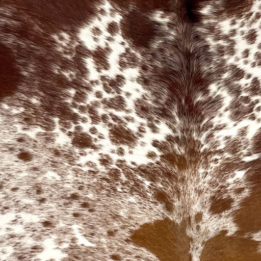 Closeup of this Cloudy Speckled Brazilian Cowhide, showing white with large and small reddish brown spots, and cloudy, reddish brown speckles and spots  (BRSP3515)