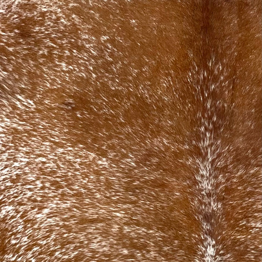 Closeup of this Speckled Brazilian Cowhide, showing white with reddish brown speckles and spots (BRSP3516)