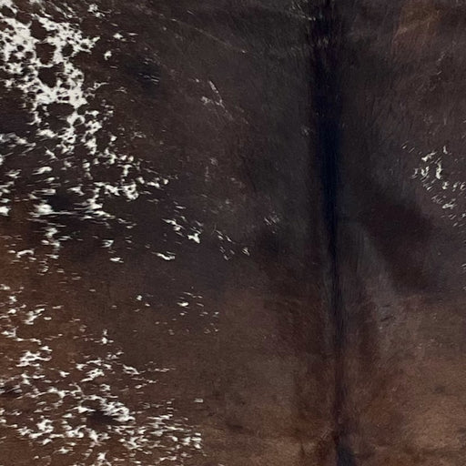 Closeup of this Speckled Brazilian Cowhide, showing dark brown with white speckles and spots, and solid dark brown down the middle (BRSP3517)
