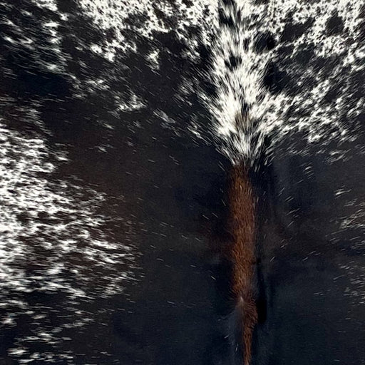 Closeup of this Speckled Brazilian Cowhide, showing white with black speckles and spots, mostly solid black down the middle of the back, and brown down part of the spine (BRSP3519)