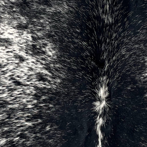 Closeup of this Speckled Brazilian Cowhide:, showing white with black speckles and spots, and black with white speckles down the middle (BRSP3520)