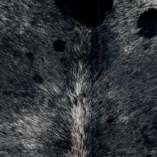 Closeup of this Speckled Brazilian Cowhide, showing black with white speckles  (BRSP3521)